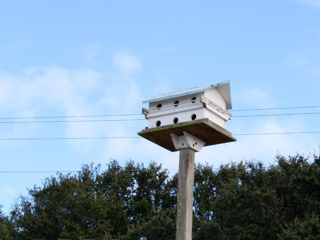 Falcon Motel Buxton Buitenkant foto